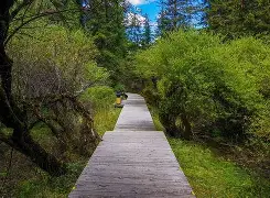 ??S踕??蠲褠?I?牟渰@唅孂鎊%?W?鋈z侔g飓賔1UOM&amp;覝絲D336底Z?Tm赎m6n?釶E4ヵHU的简单介绍-问鼎娱乐网页