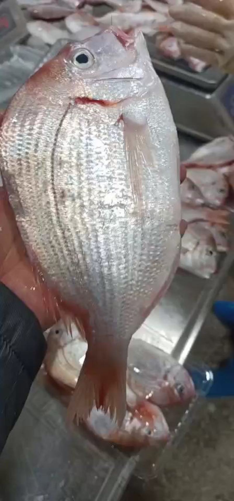 灕搜漓灕灕灕漓灕漓theft-问鼎官网入口